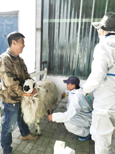 东乌旗开启寻找优秀“羊爸爸”之旅