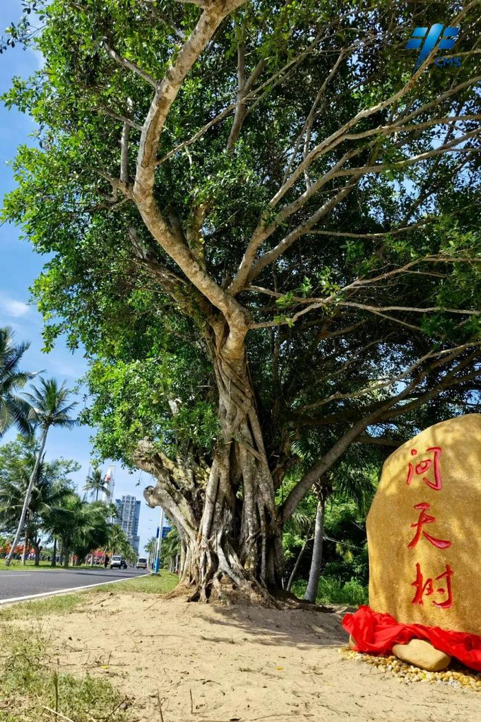 气势恢宏！问天实验舱与火箭组合体转运现场高清图来了