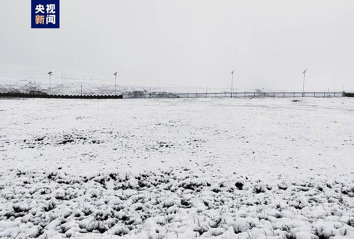 青海省天峻县三伏天出现罕见降雪天气