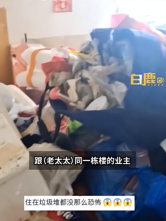 老人爱捡垃圾放屋内，房子蟑螂成灾邻居离家租房