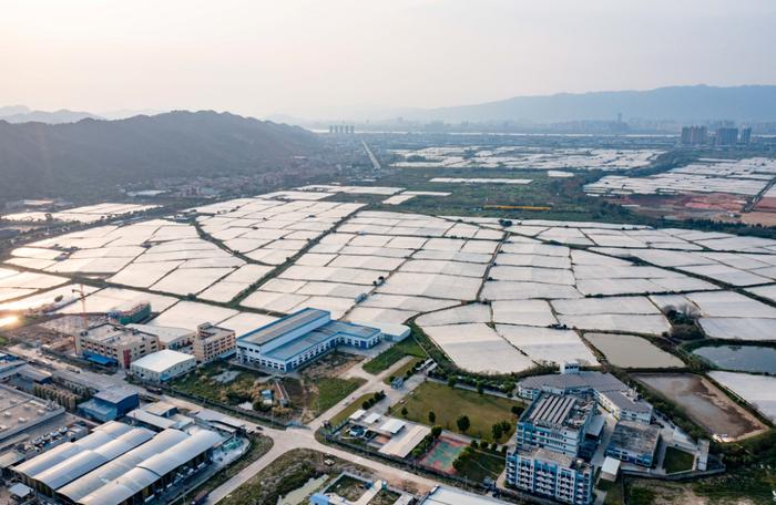 抢占万亿“蓝海市场”新赛道！肇庆正炒香这道“菜”……