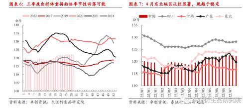 生猪：寻找合理的锚，近强远弱结构基本确定