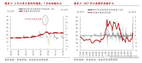 生猪：寻找合理的锚，近强远弱结构基本确定