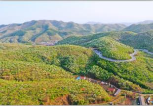 鞍山两村入选省级乡村旅游重点村