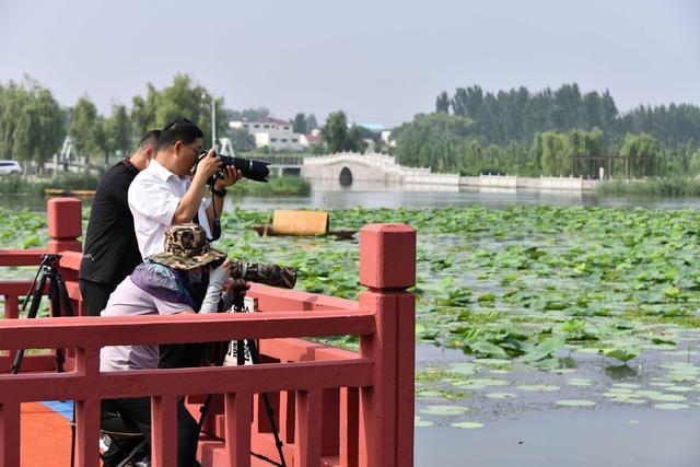 山东微山湖打造生态环保型5A景区