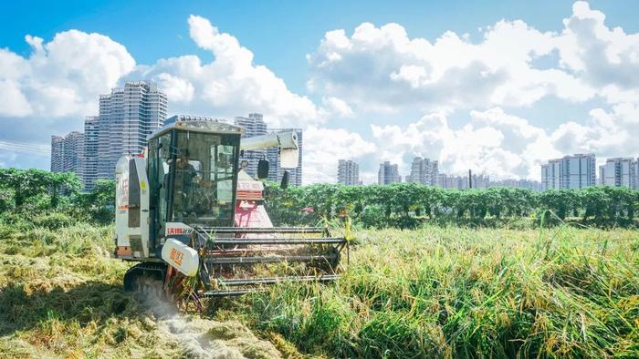 重要提醒！这些来返人员需持48小时核酸检测报告 | 早安，中山