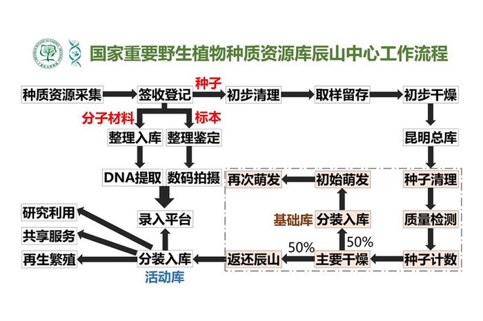 上海有家“植物DNA冷库” 辰山中心首批野生植物种子进入“深度睡眠”