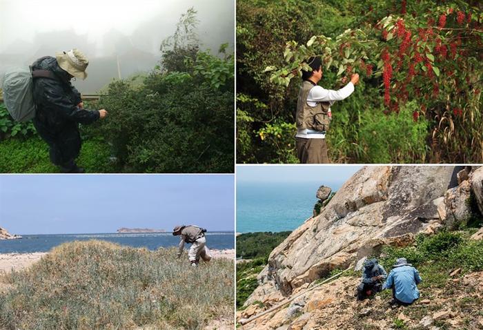 上海有家“植物DNA冷库” 辰山中心首批野生植物种子进入“深度睡眠”