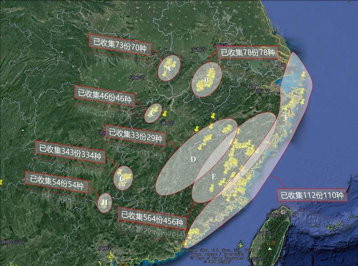 上海有家“植物DNA冷库” 辰山中心首批野生植物种子进入“深度睡眠”