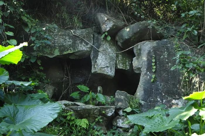 省级自然教育基地+1！湛江这个以红树林命名的国家湿地公园不仅景美……