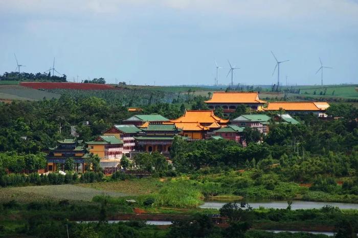 省级自然教育基地+1！湛江这个以红树林命名的国家湿地公园不仅景美……