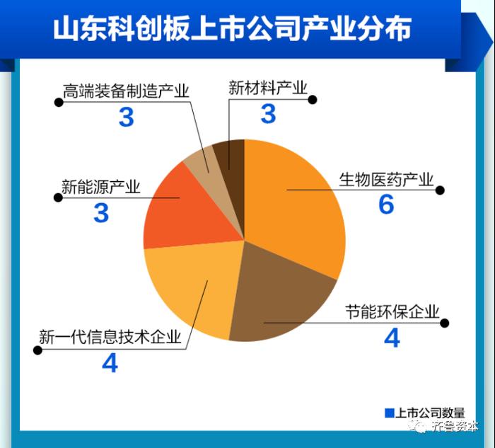 山东资本市场科创板上市公司达19家：企业数量全国第六，这项数据却反超苏粤