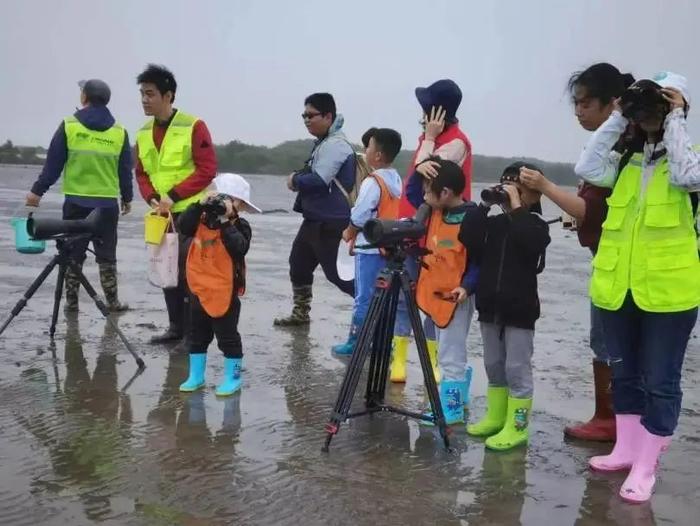 省级自然教育基地+1！湛江这个以红树林命名的国家湿地公园不仅景美……