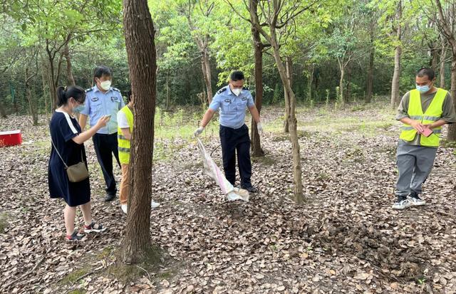 非法贩卖蟾蜍，后果很严重！一女子被依法采取刑事强制措施