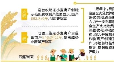 兵团各垦区小麦高产捷报频传