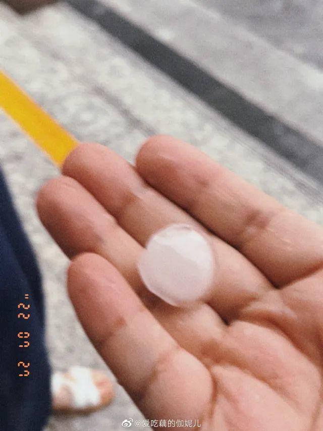 今天最高38.3℃，刚刚，杭州下冰雹了！网友：大夏天的，合适吗？