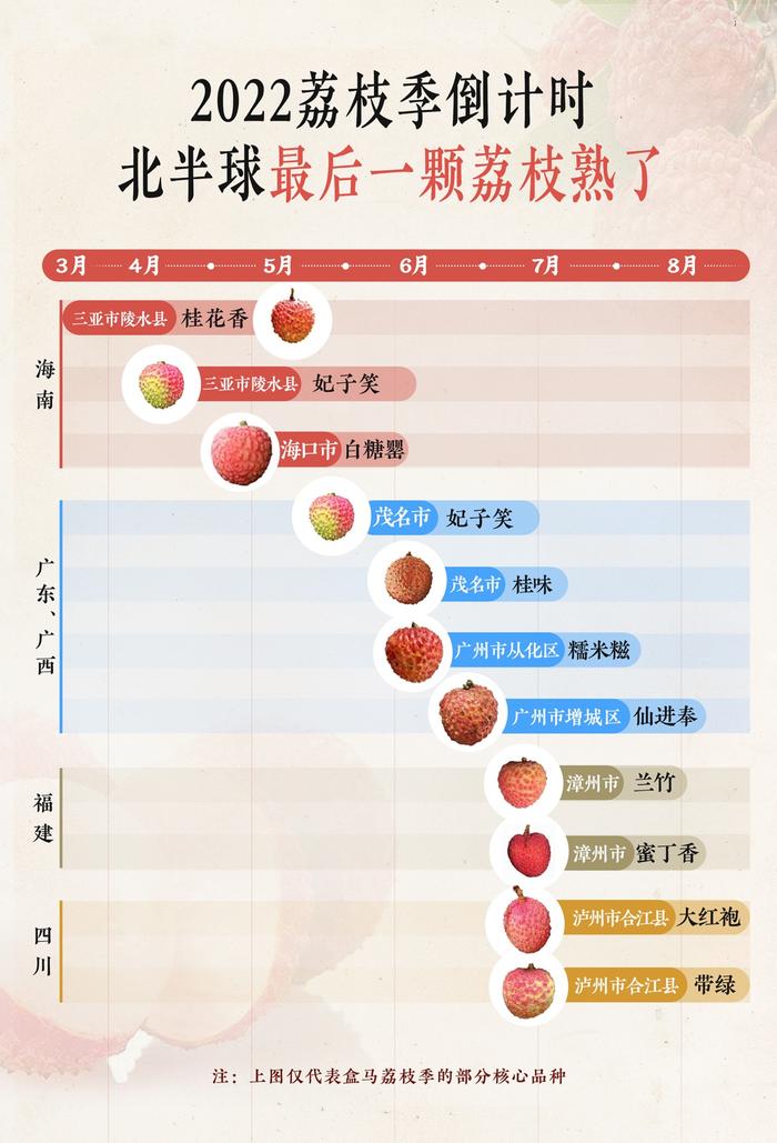 新消费主张 | “日啖荔枝”也看产地和时令 这份挑荔枝指南请收好 | 封面天天见