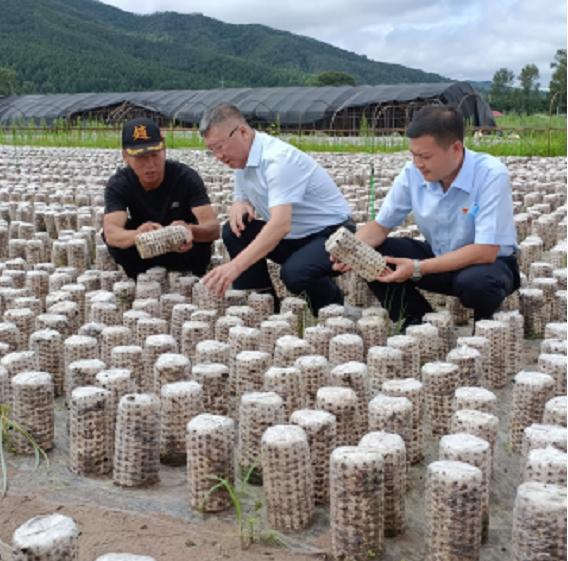 建设银行牡丹江分行特色种植融资服务拓宽乡村产业振兴之路