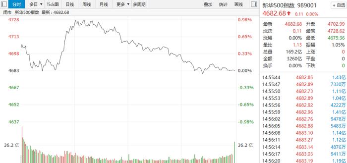 【新华500】新华500指数（989001）冲高回落 成交额有所放大