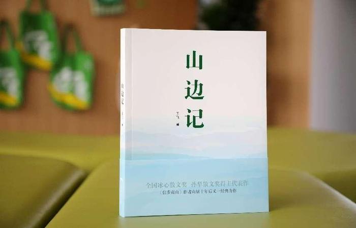 王飞：守护绿水青山就是守护自己