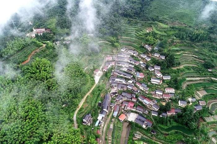 平均气温20+℃！丽水这些“空调村”，太适合夏天避暑了！