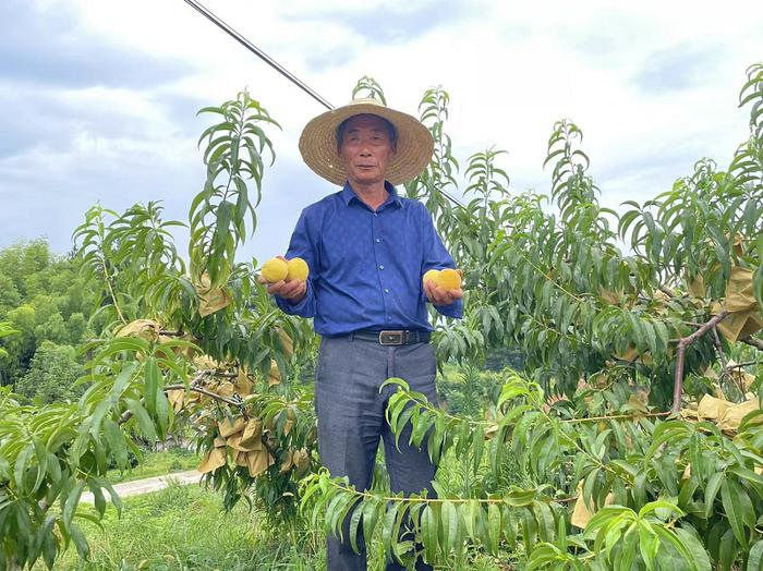 湖南沩山：康养小镇的产业振兴之路