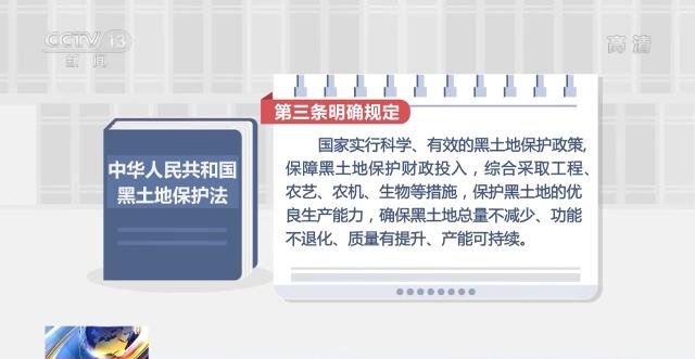 《黑土地保护法》今日正式施行 用法律守护“耕地中的大熊猫”