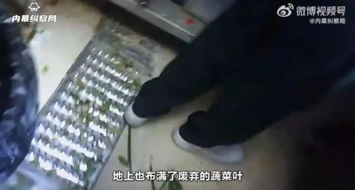 月销过万单！网红外卖轻食店后厨被曝光，网友：脏得每一帧都突破了心理防线