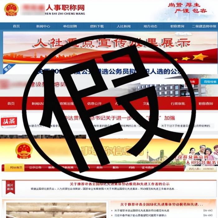 百日行动 | 重庆、福建破获假冒政府网站制售假证犯罪团伙
