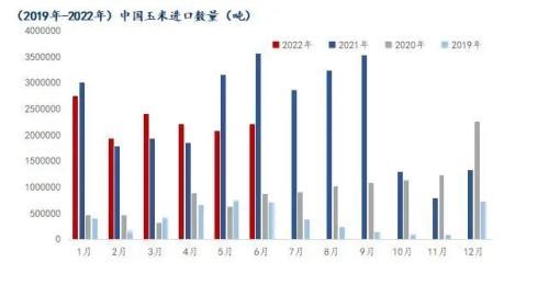 Mysteel解读：6月我国粮食进口现状及玉米替代进口分析