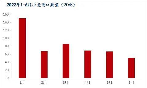 Mysteel解读：6月我国粮食进口现状及玉米替代进口分析