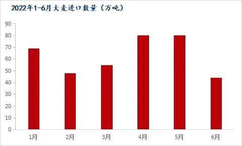 Mysteel解读：6月我国粮食进口现状及玉米替代进口分析