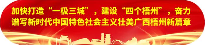 主动服务企业 创优发展环境丨自治区财政厅厅长胡帆到梧州调研