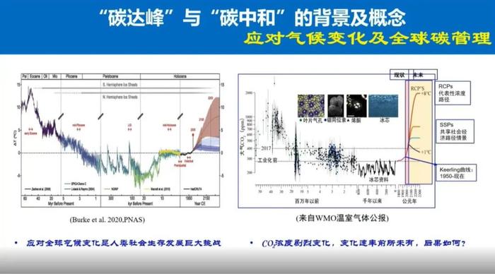 于贵瑞院士：陆地生态系统的碳汇潜力及增汇技术途径