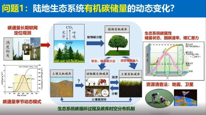 于贵瑞院士：陆地生态系统的碳汇潜力及增汇技术途径