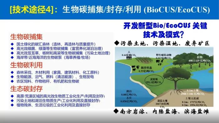 于贵瑞院士：陆地生态系统的碳汇潜力及增汇技术途径