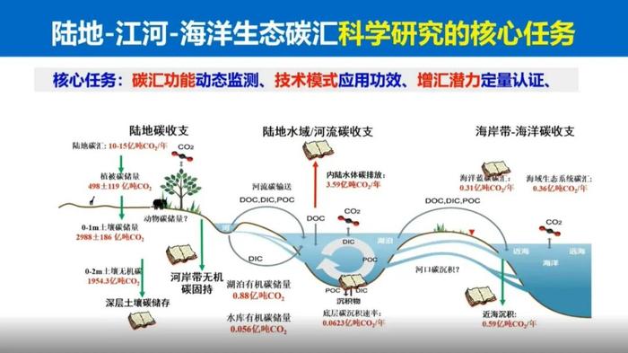 于贵瑞院士：陆地生态系统的碳汇潜力及增汇技术途径