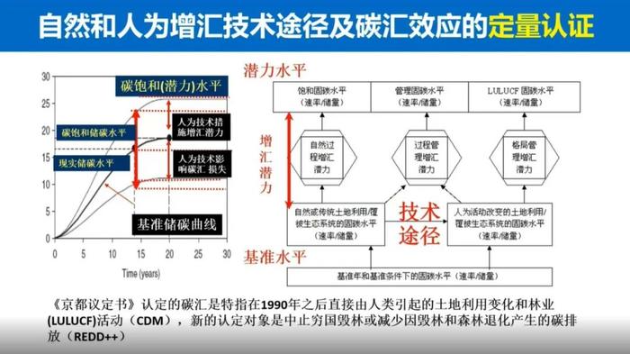 于贵瑞院士：陆地生态系统的碳汇潜力及增汇技术途径