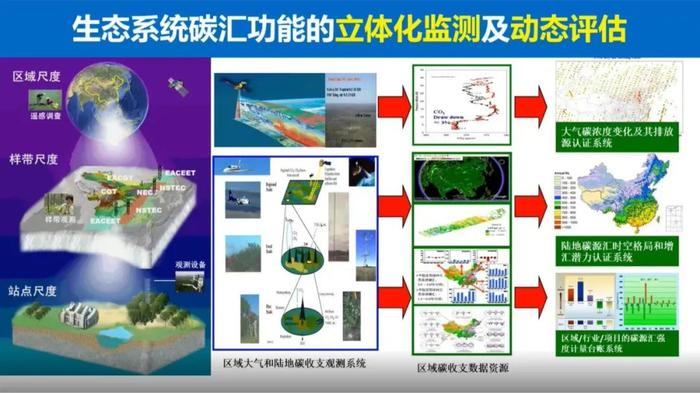 于贵瑞院士：陆地生态系统的碳汇潜力及增汇技术途径