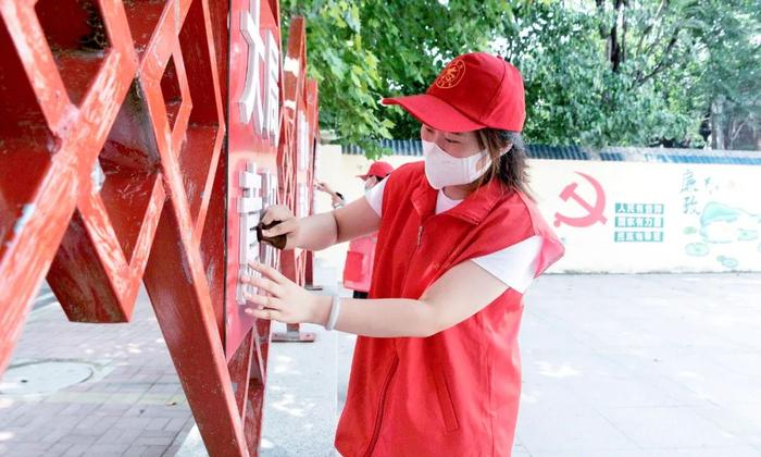 创建全国文明城市 | 玫瑰花开万千朵 龙城处处散幽香