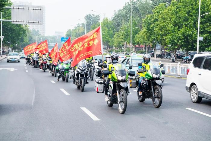 创建全国文明城市 | 玫瑰花开万千朵 龙城处处散幽香