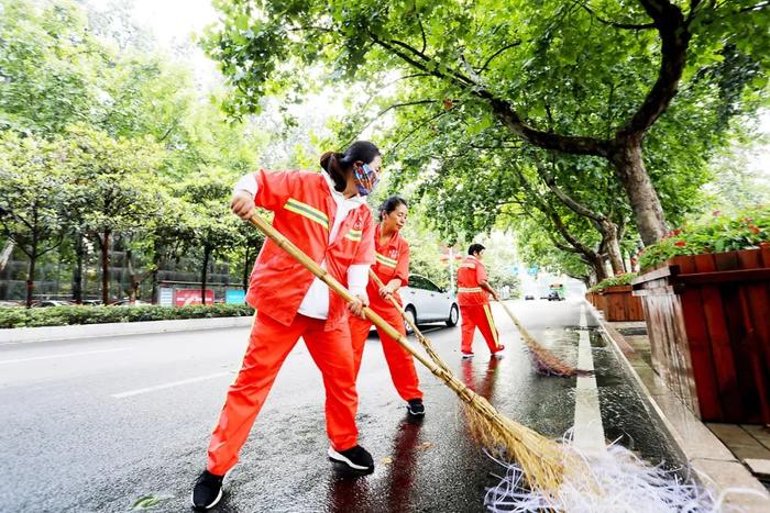 创建全国文明城市 | 玫瑰花开万千朵 龙城处处散幽香