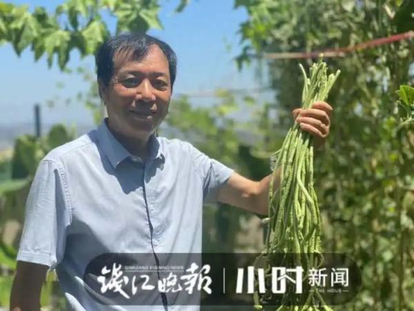 40℃高温，顶楼不开空调也挺凉快？杭州这户人家的方法亮了