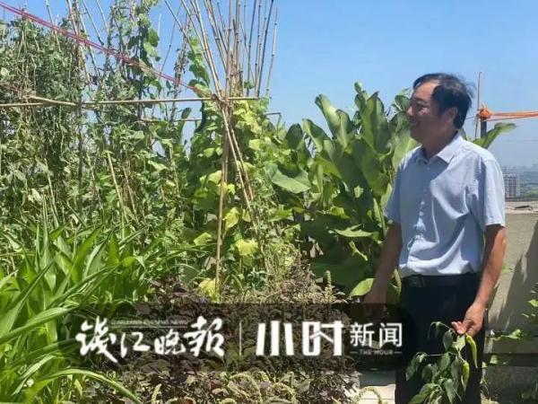 40℃高温，顶楼不开空调也挺凉快？杭州这户人家的方法亮了