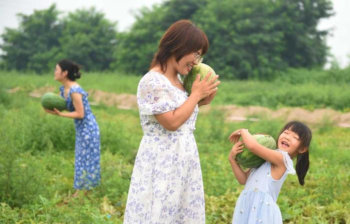 （组图）果飘香农家乐