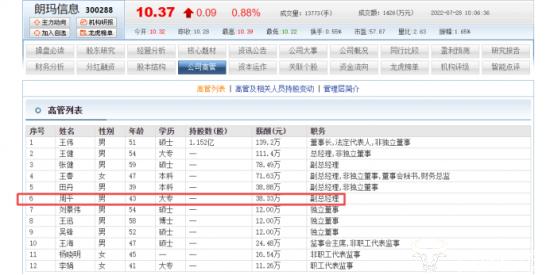 朗玛信息副总裁周平大专学历年薪38.33万 低于副总张健和王春