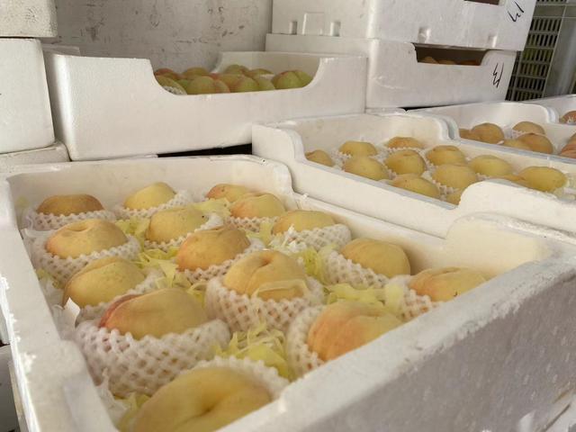 谁才是夏令水果“顶流”？仓桥水晶梨、8424西瓜、水蜜桃热卖，有你爱吃的吗？