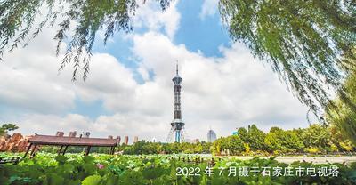 石家庄市空气质量对比图