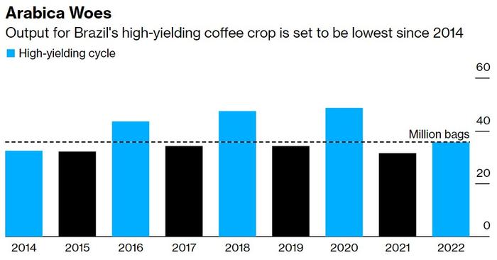 反常天气冲击巴西供应 世界顶级咖啡豆产量萎缩