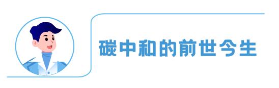 养基加油站｜碳中和搭台新能源唱戏，“风光储车”还能走多远？